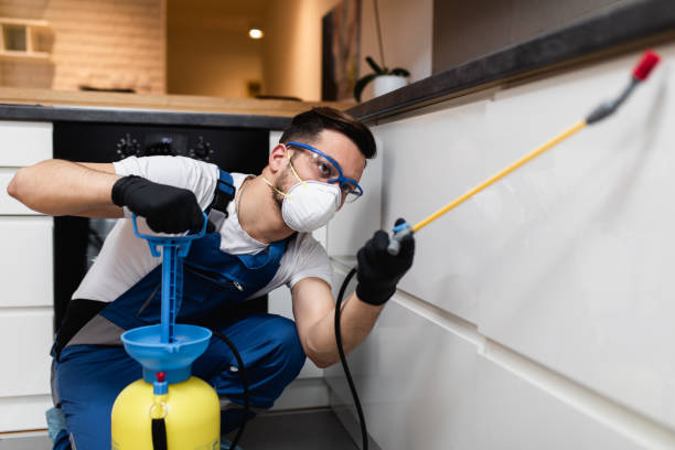 Best Pest Removal Services  in Goshen, IN