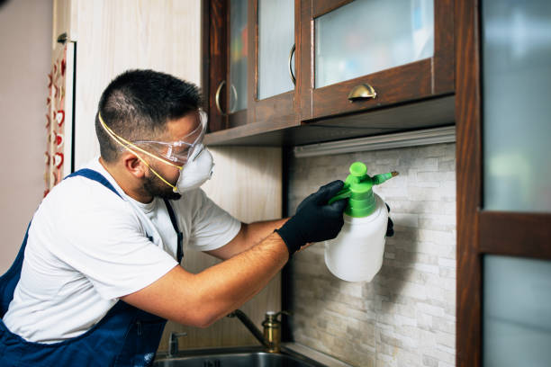 Best Emergency Pest Control  in Goshen, IN