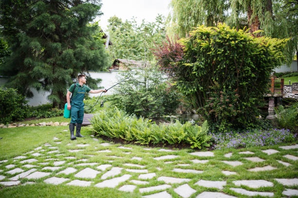 Best Local Pest Control Services  in Goshen, IN