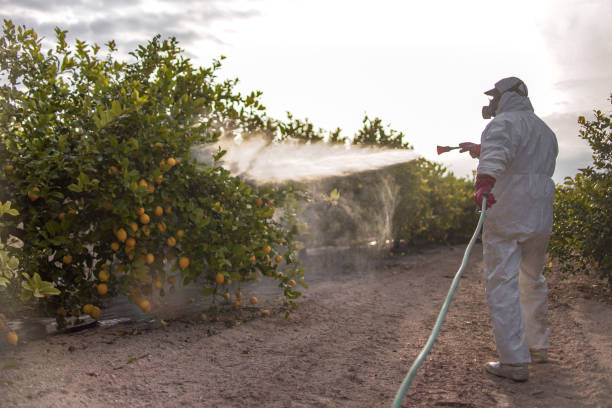 Best Pest Inspection Near Me  in Goshen, IN