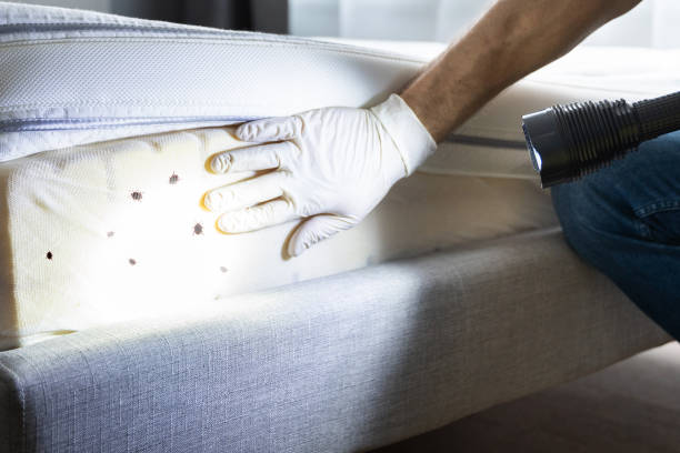 Best Affordable Pest Control Services  in Goshen, IN
