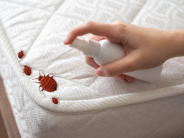 Best Mosquito Control Services  in Goshen, IN
