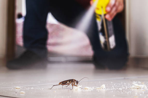 Best Commercial Pest Control Services  in Goshen, IN